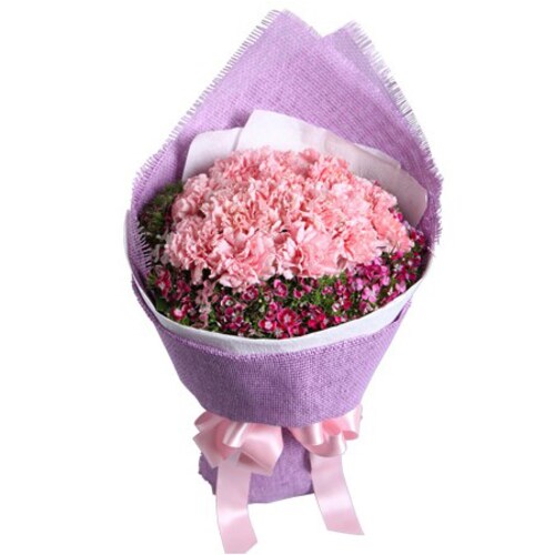 Buy Beautiful Spring Carnations