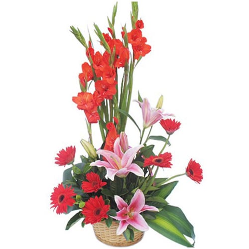 Buy Mixed Flower Basket