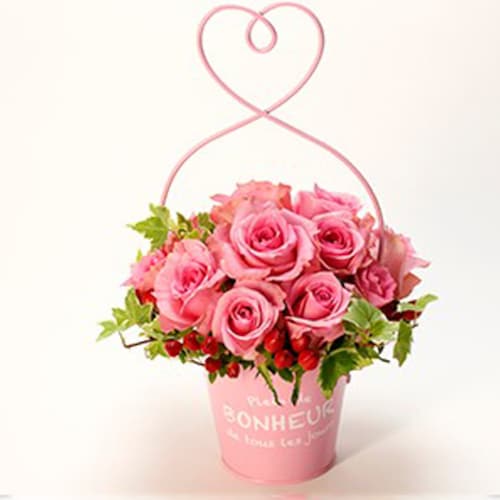 Buy Pot Arrangement Pink Roses