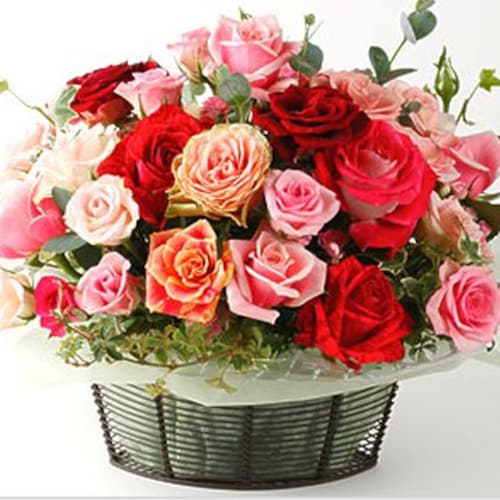 Buy Big Roses Basket