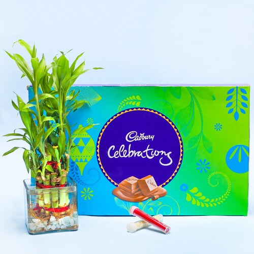 Buy Wishes with Plant and Chocolates