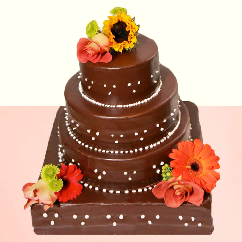 2 Step Cake Design | #cake #cakedecorating #cakedesign #cakeart  #cakedecorator #cakelover #chocolate #chocolates #chocolatecake #chocola...  | Instagram
