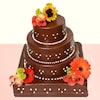Buy Dazzling Chocolate Cake