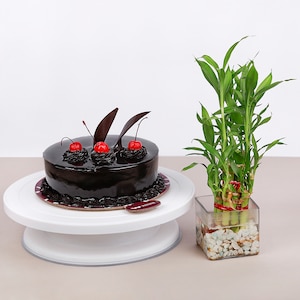 Chocolate Cake and Bamboo