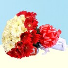Best Wishes Mix Gerbera Flowers