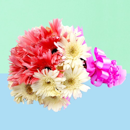 Buy Pink and White Gerberas in Pink Packing