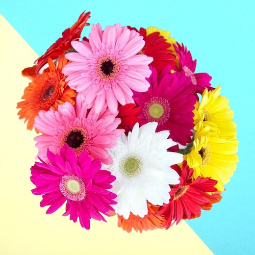 Buy Sweet Wishes  A bunch of Multicolored Gerbera flowers
