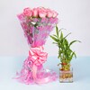 Buy Pink Roses With Lucky Bamboo