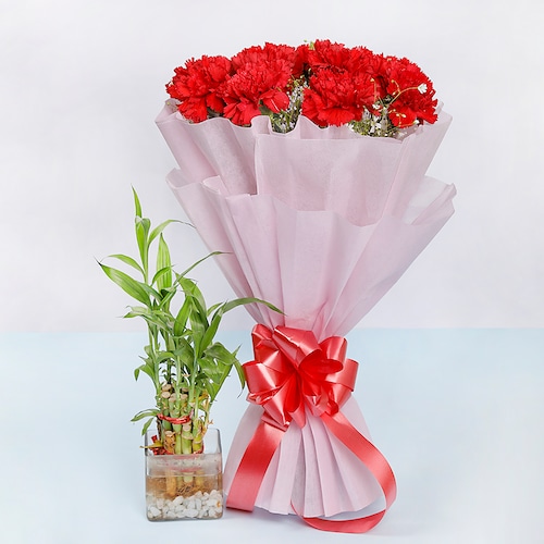 Buy Red Carnations With Lucky Bamboo
