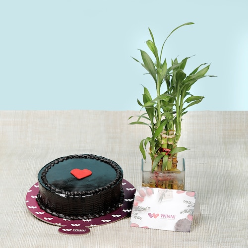 Buy Chocolate Cake With Bamboo
