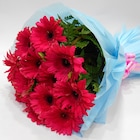 Serene Beauty  A bunch of Pink Gerbera flowers