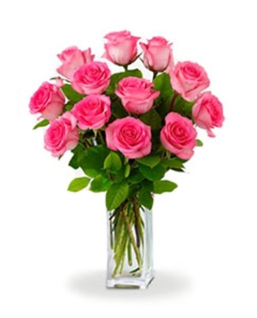 Buy Fresh Dozen Pink roses