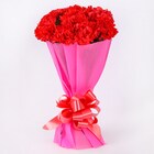Power of Carnations