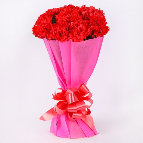 Buy Power of Carnations