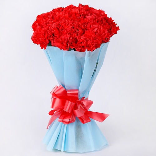 Buy Friendly Red Carnation