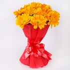 Happy Splashy  Gerberas