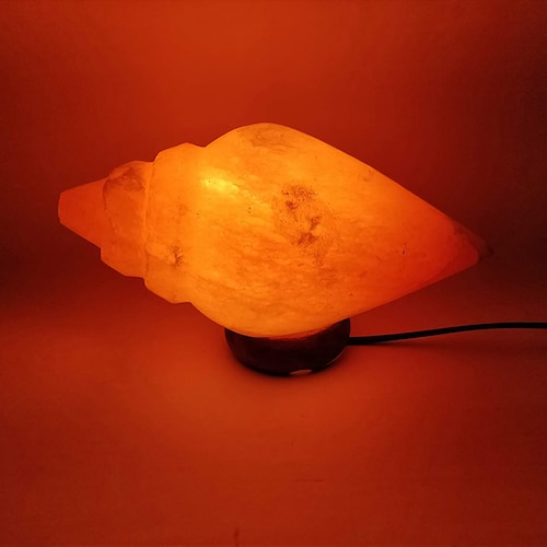 Buy Natural Himalayan Pink Rock Salt Conch Shaped Lamp