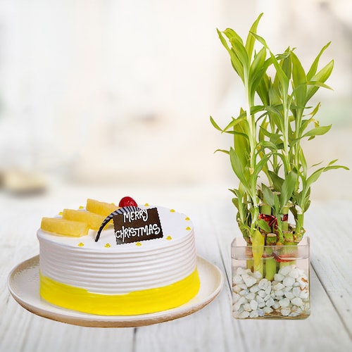 Buy Pineapple Cake With Bamboo