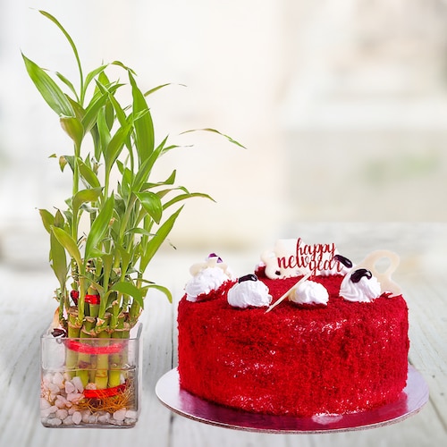 Buy Red Velvet Cake With Lucky Bamboo
