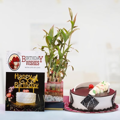 Best Gift for Wishes