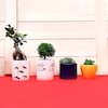 Buy Home Plant Gifts