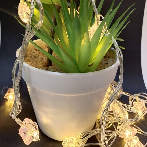 Buy LED Light With Artificial Succulent Plant