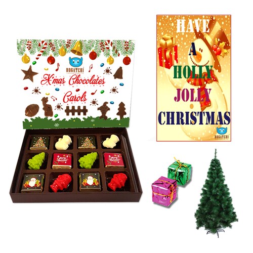 Buy Classy Holiday Choice