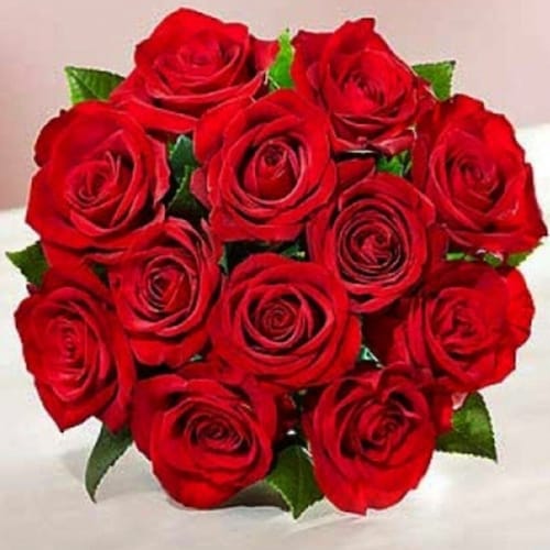 Buy Shades of Love Red Rose