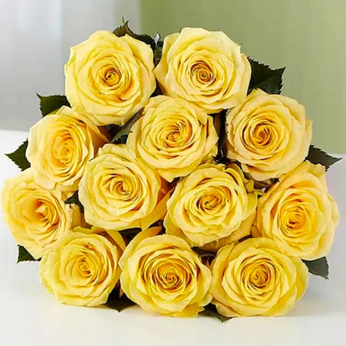 Buy 12 Yellow Roses