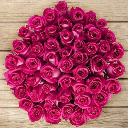 Buy 50 Hot Pink Roses