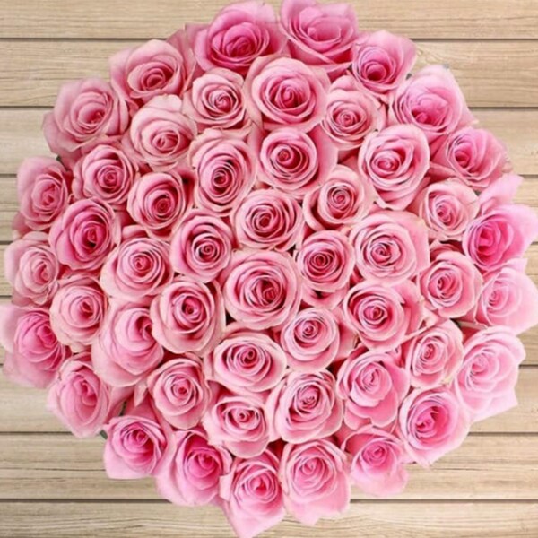 50 Pink Roses Bouquet | Winni