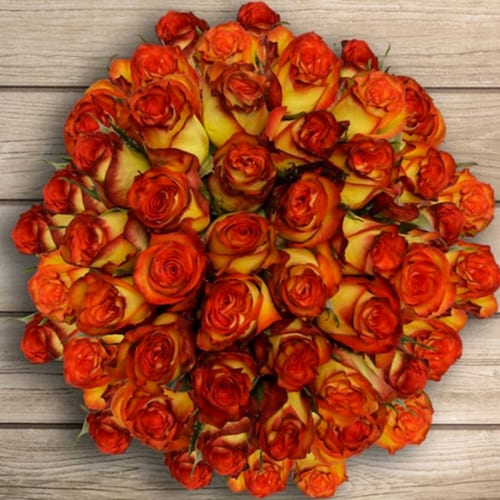 Buy 50 stems of Bicolor Orange Rose