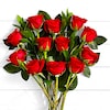 Buy One Dozen Red Roses