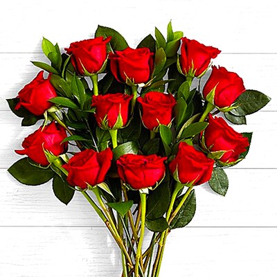 One Dozen Valentine Red Roses