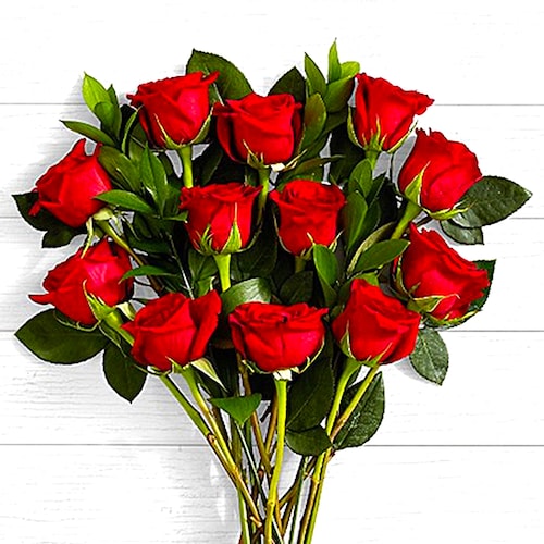 Buy One Dozen Valentine Red Roses
