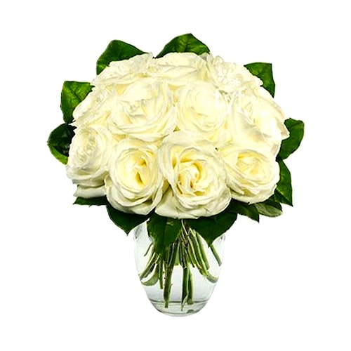 Buy One Dozen White Roses
