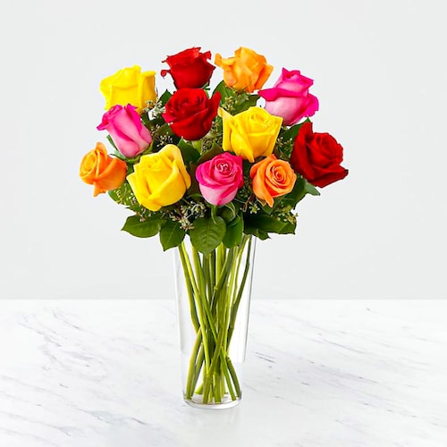 Buy Vivid 12 Mixed Roses in Vase