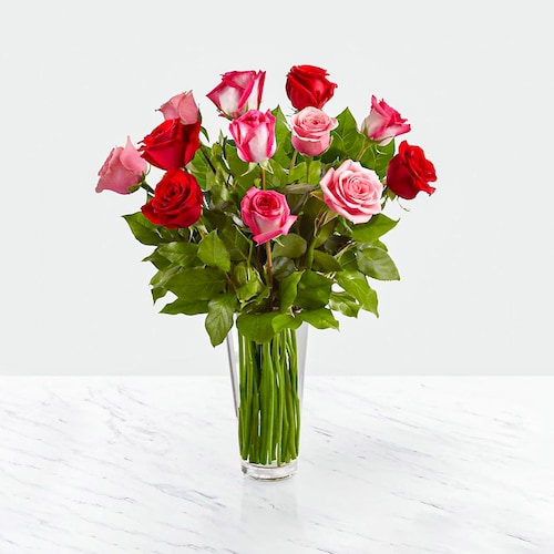 Buy Beautiful 12 Red & Pink Roses in Vase