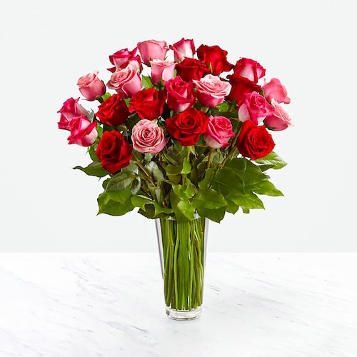 Buy Vivid 24 Red & Pink Roses in Vase