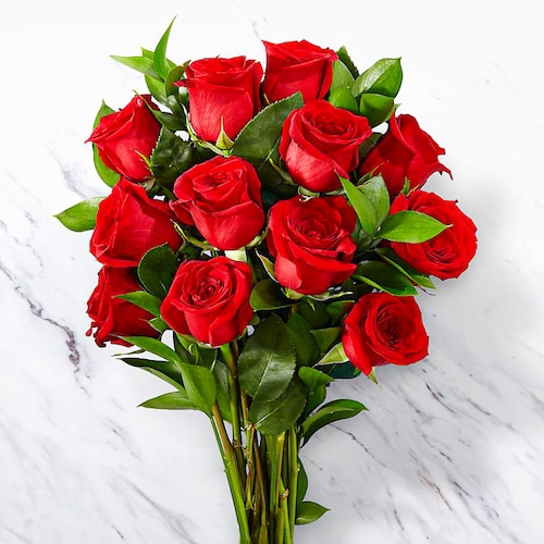 Buy Classy Bunch  12 Red Roses