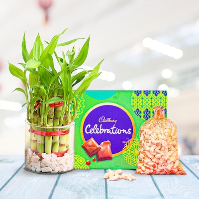 Secret Celebrations Gift
