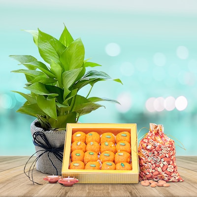 Exclusive Sweet Hamper