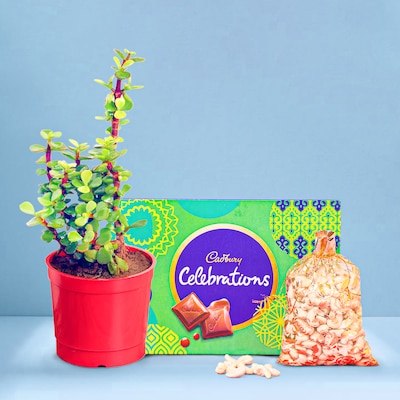 Sweet Treat Hamper
