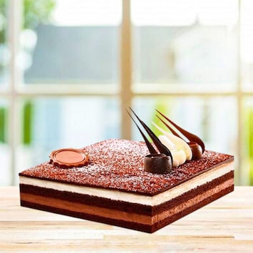 Icing Layer Choco Vanilla Cake
