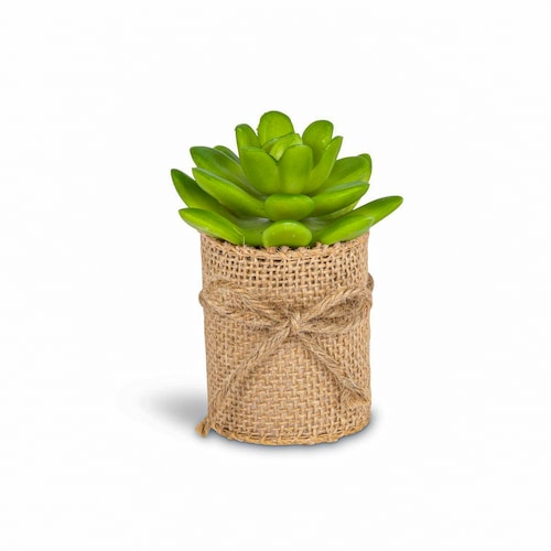 Buy Succulent Woven Can Pot