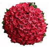 Buy Silky N Red Roses Bond