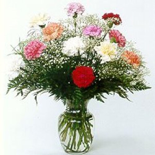 Buy Carnations In Vase