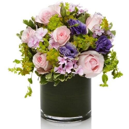 Buy Fantastic Blooms Can
