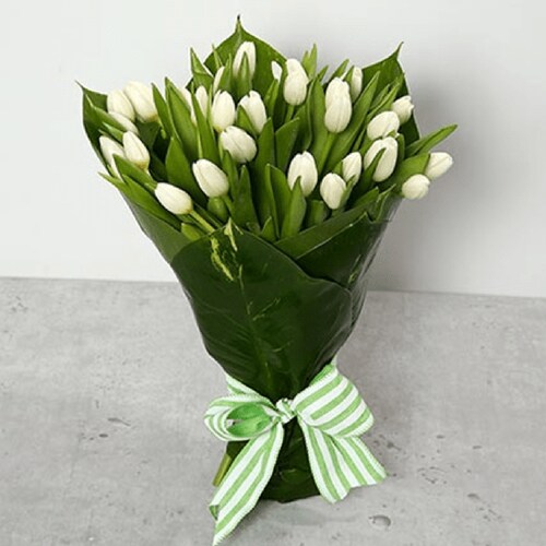 Buy Stunning Tulips Desires