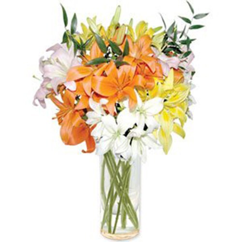 Buy Mixed Asiatic Lillies